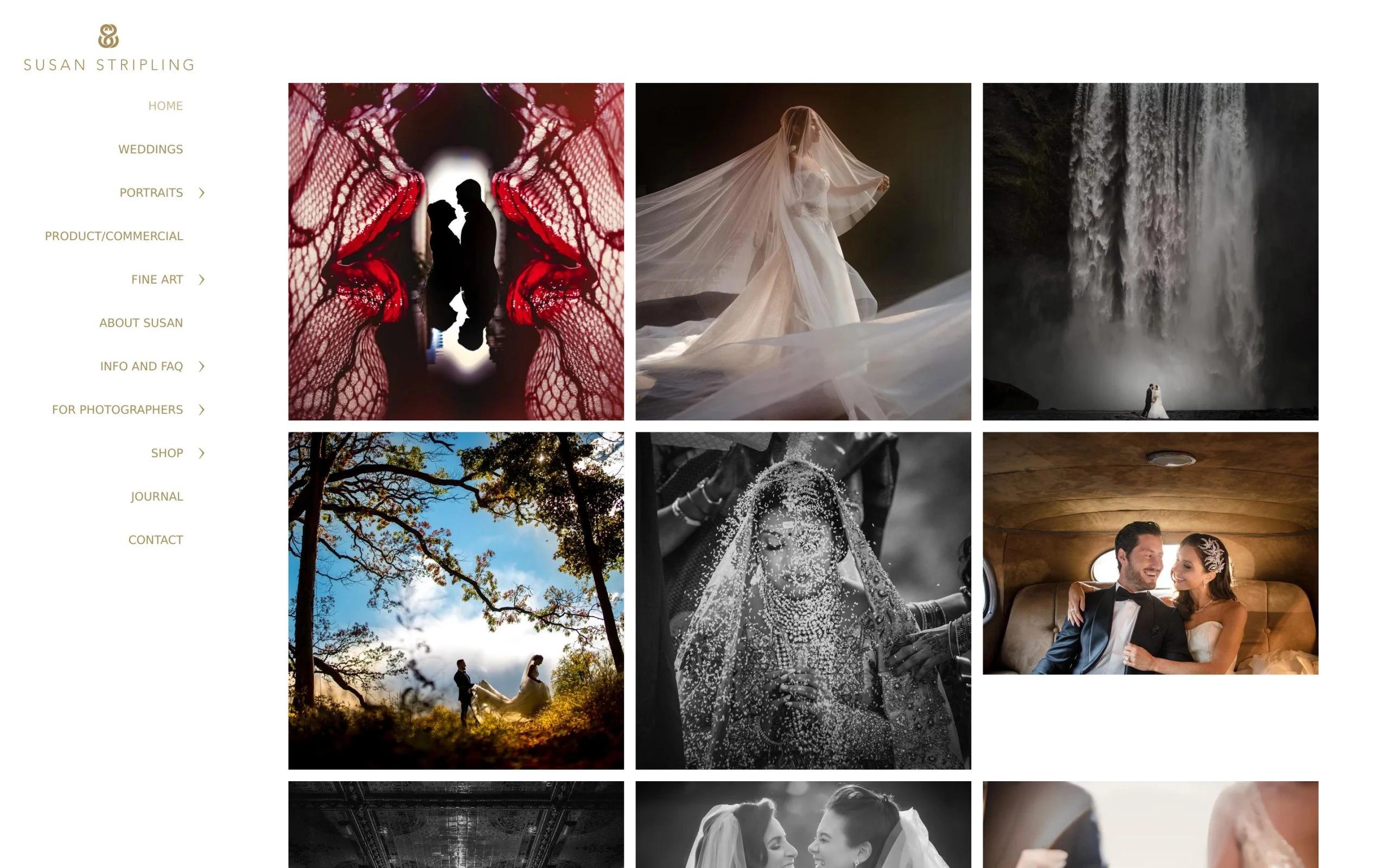 Susan Stripling photography blog